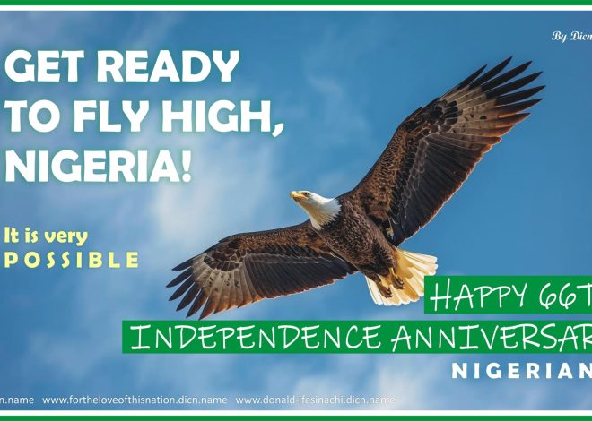 GET READY TO FLY HIGH, NIGERIA! BY DICN